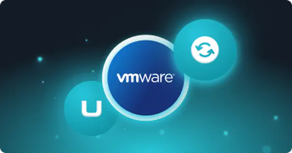 VMWare Environment Backup